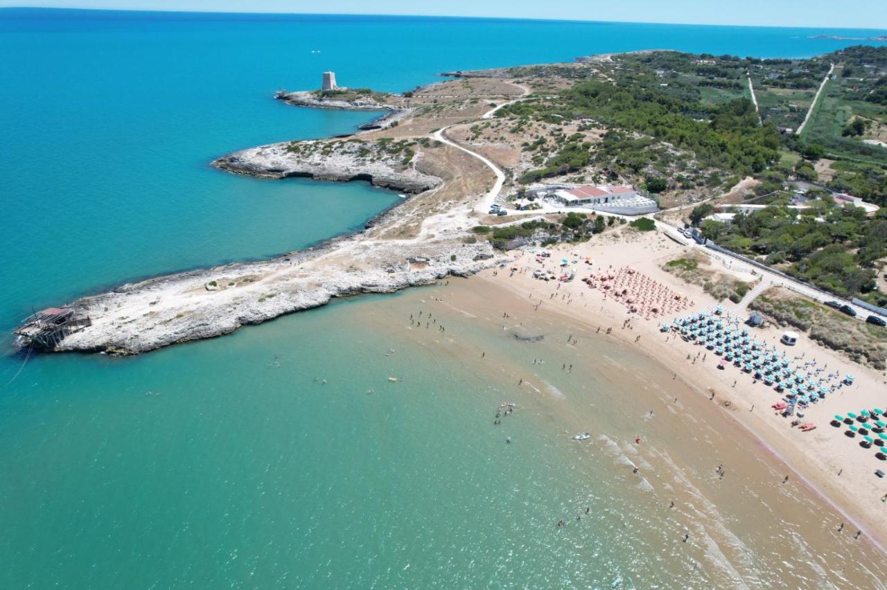 Villaggio Turistico Scialmarino 2*