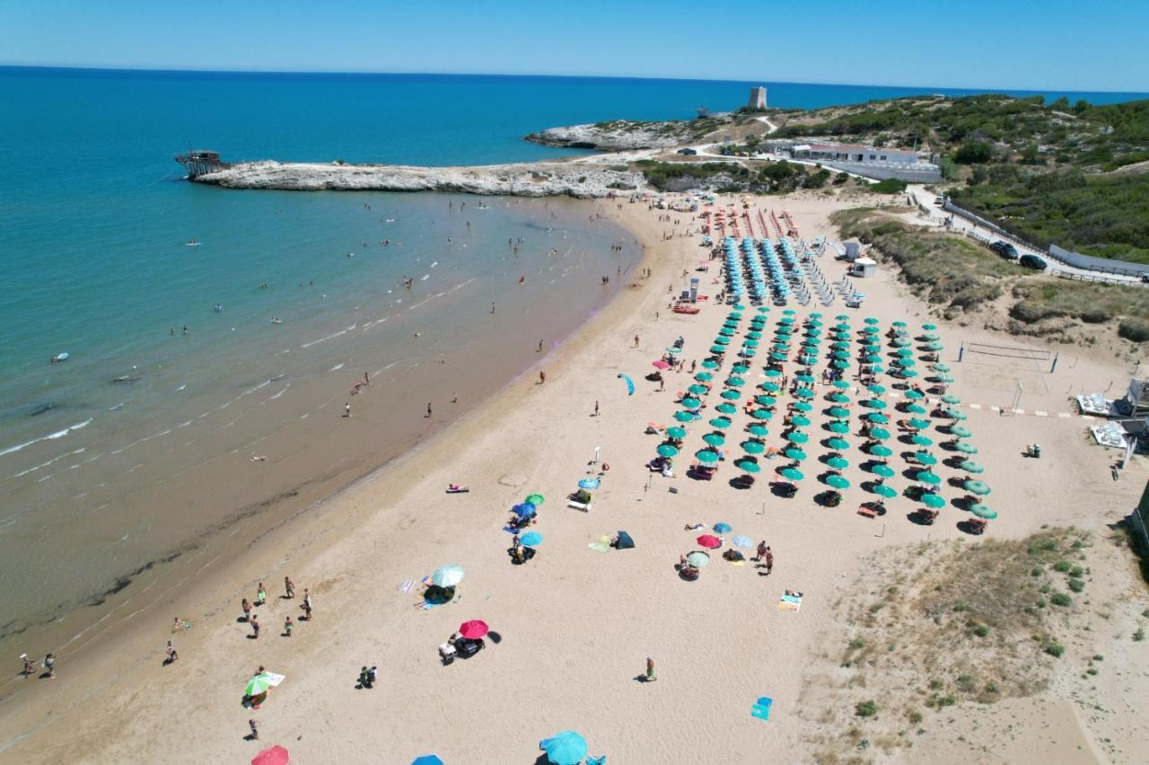 Villaggio Turistico Scialmarino 2*