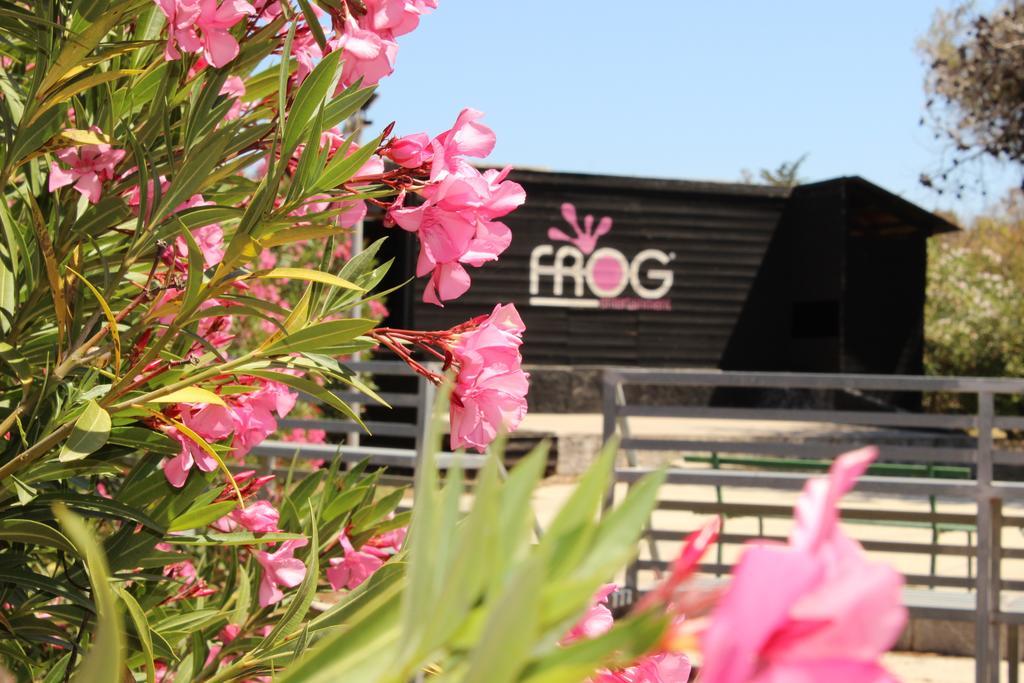 Villaggio Turistico Scialmarino Vakantiepark 2*