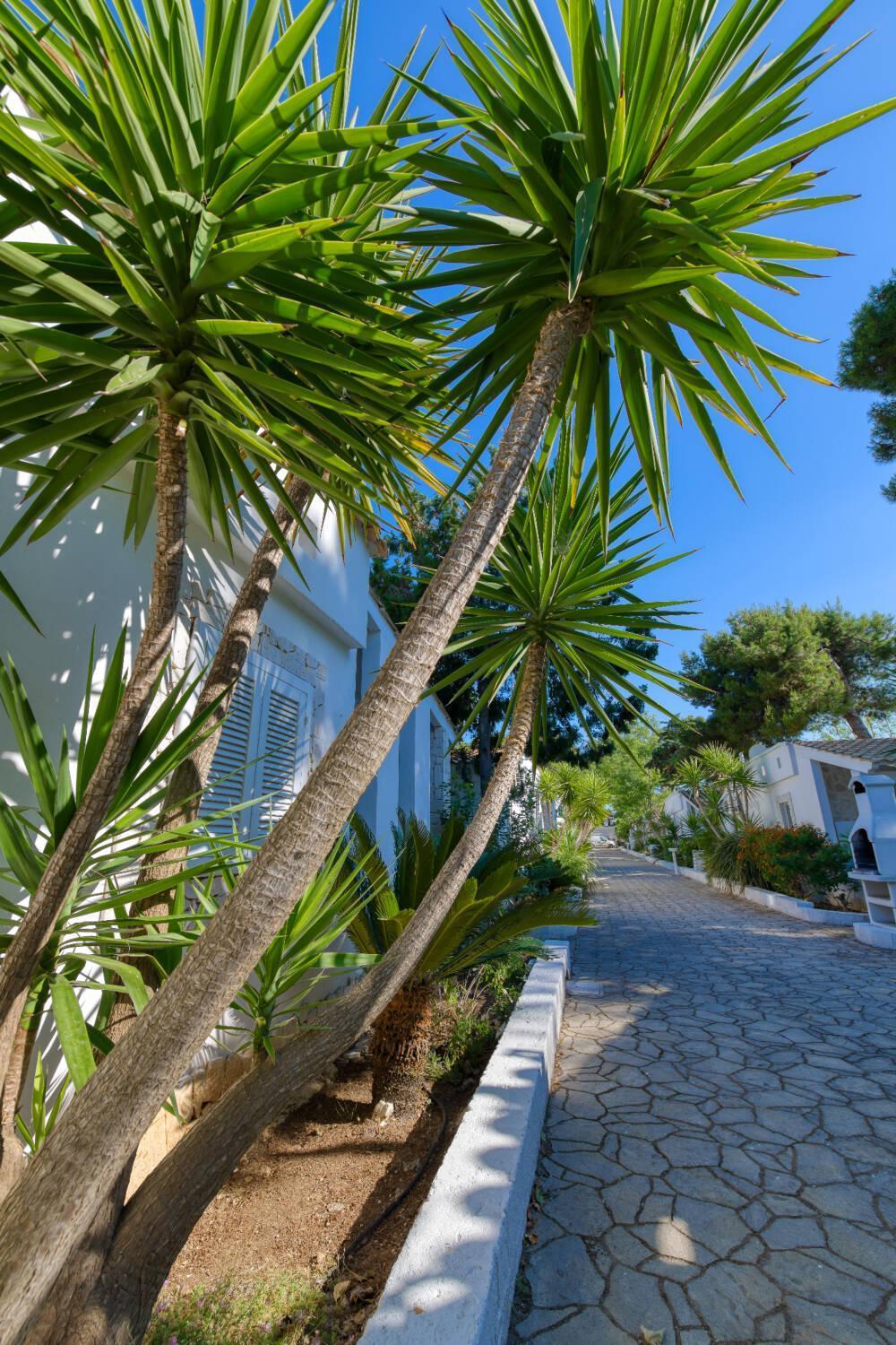 Aldeamento Turístico Villaggio Turistico Scialmarino 2*